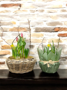 Spring Bulb Planter 8" & 10”