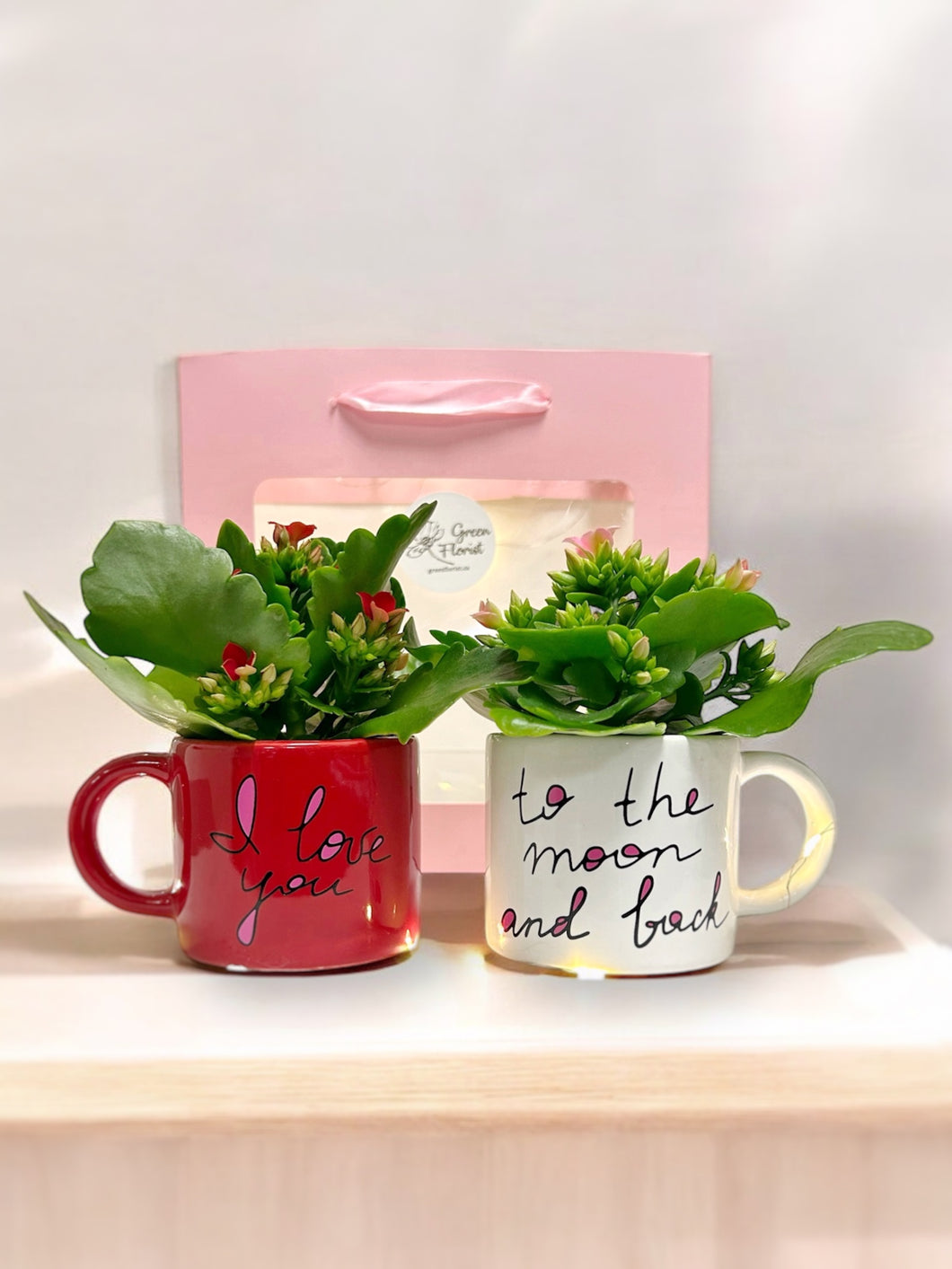 Vday - Love Mug Set Planters