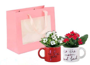 Vday - Love Mug Set Planters