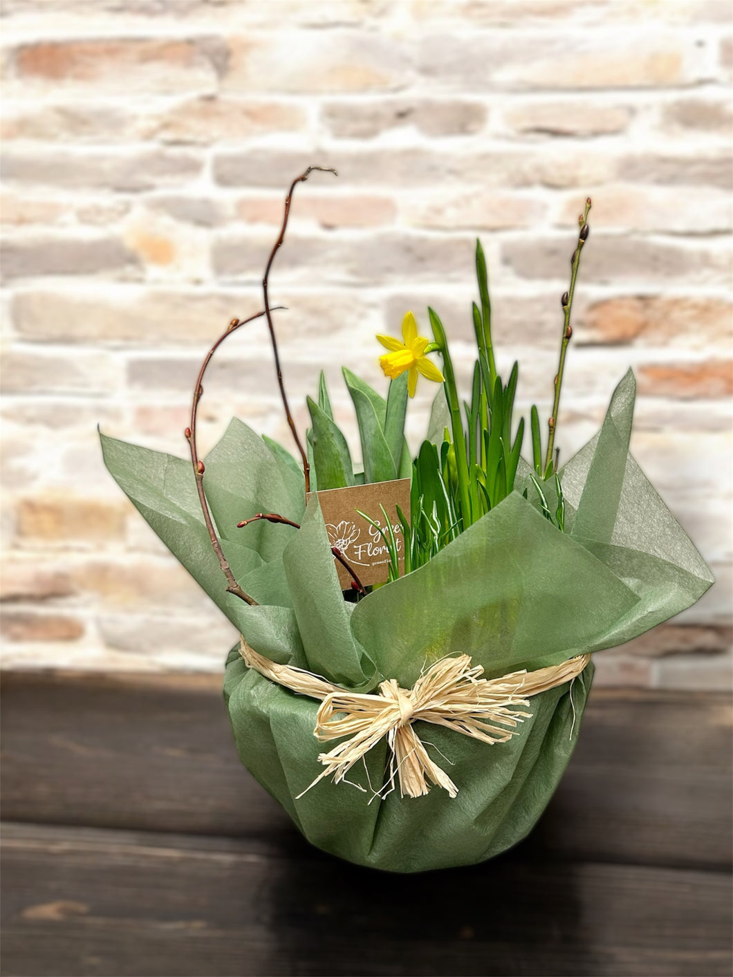 Spring Bulb Planter 8