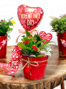 Vday - Big Love Planter